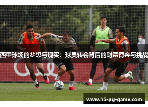 西甲球场的梦想与现实：球员转会背后的财富博弈与挑战